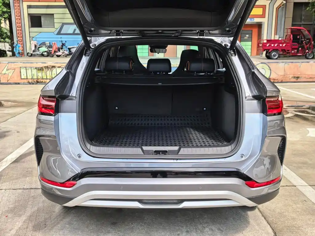 BYD Song PLUS New Energy 2023 — фото 14