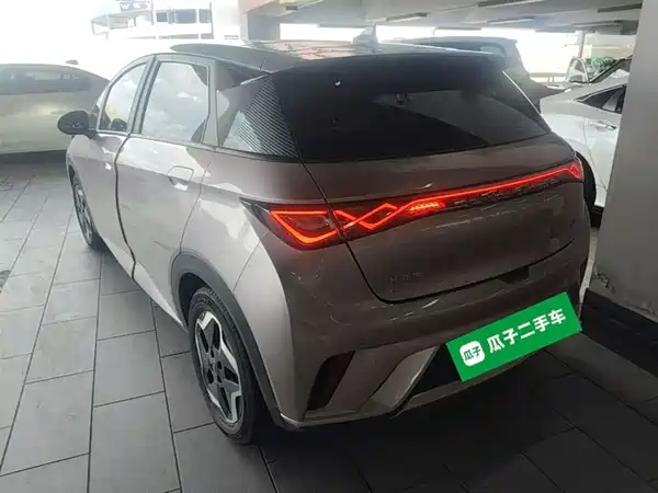 BYD Dolphin 2021