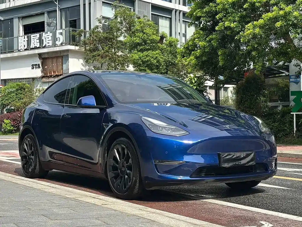Tesla Model Y 2021 — фото 4