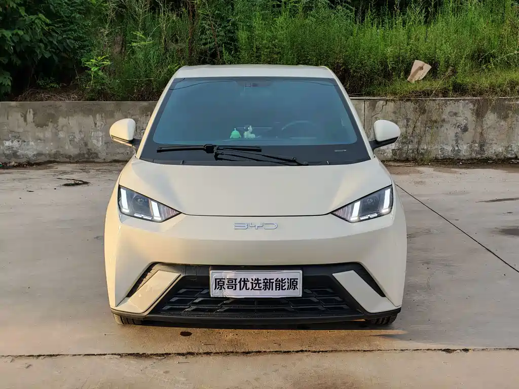 BYD Seagull 2024