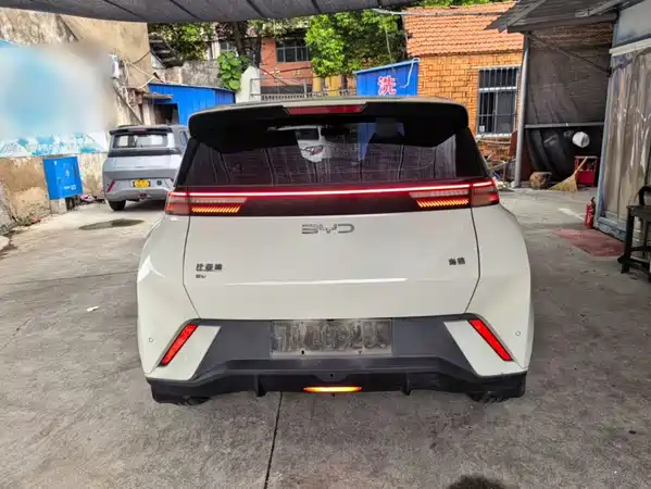 BYD Seagull 2024