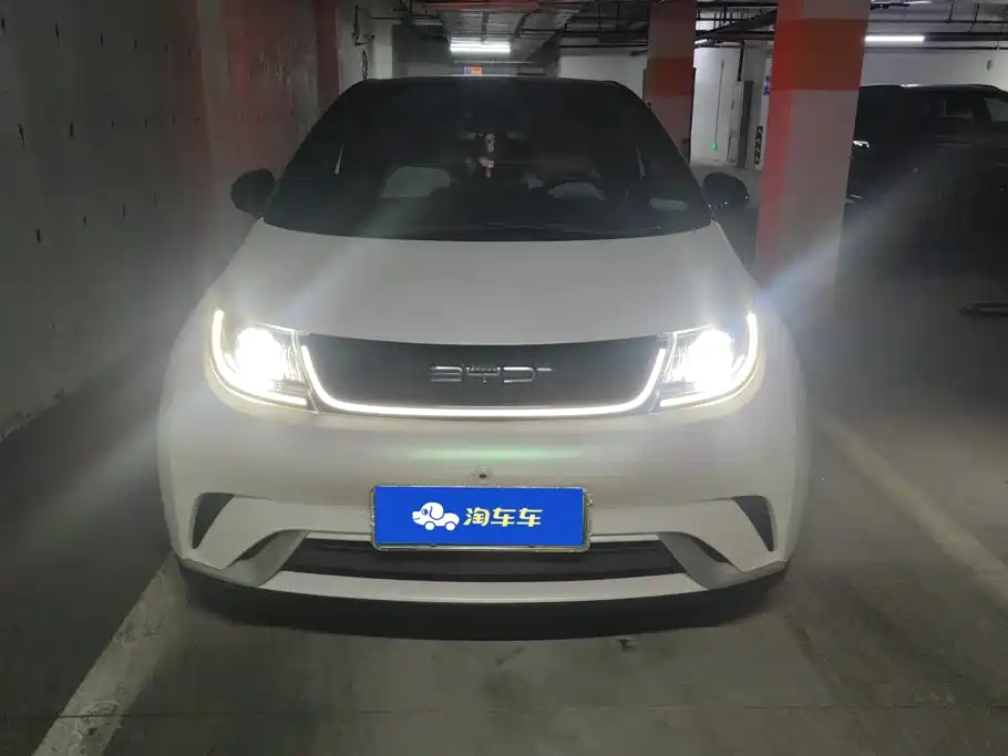 BYD Dolphin 2021