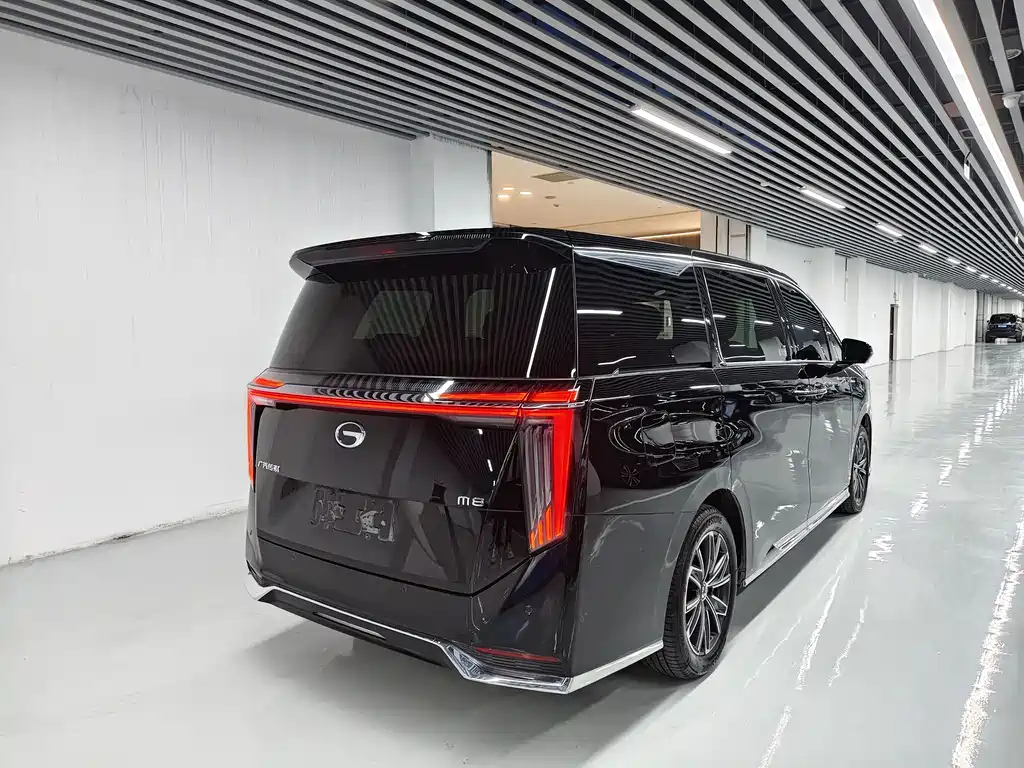 GAC Motor Trumpchi M8 2023 — фото 12