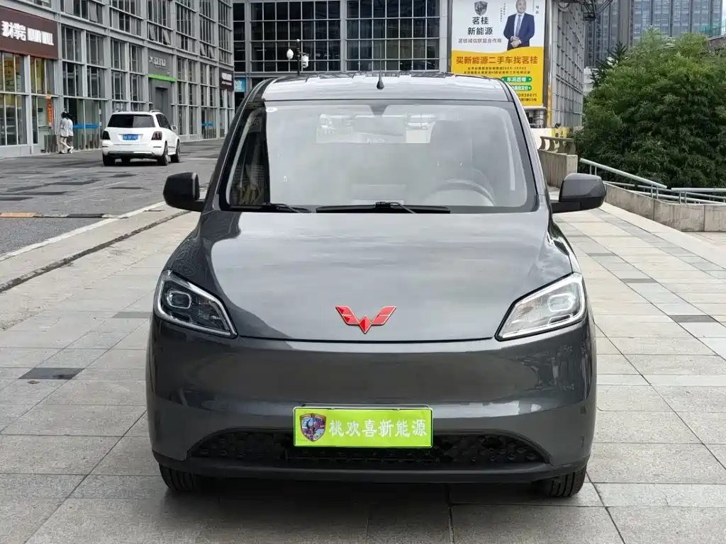 Wuling Hongguang New Energy 2025