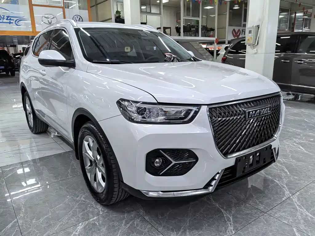 Haval H6 2021 — фото 3
