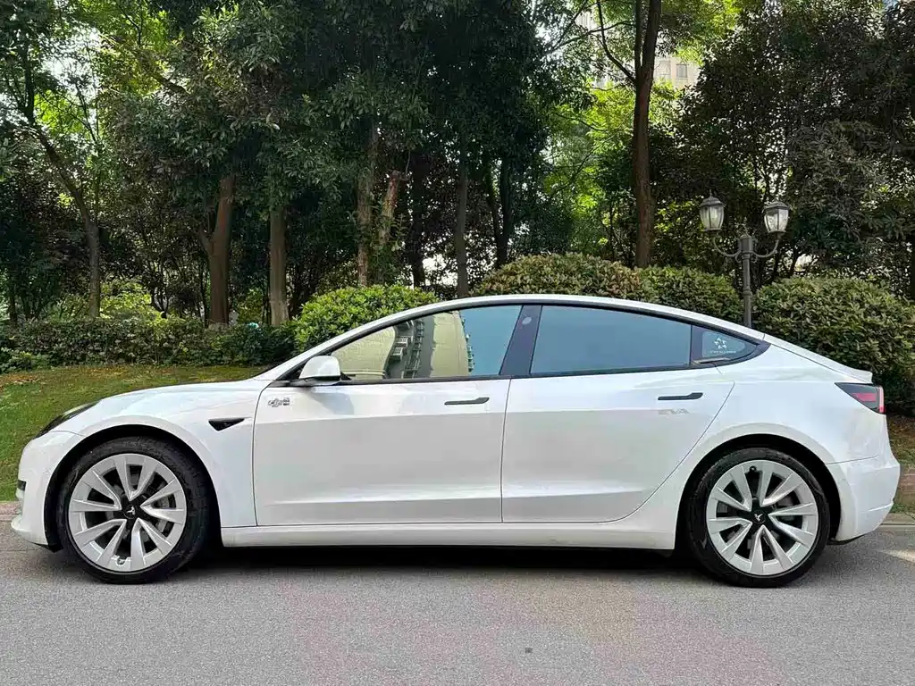 Tesla Model 3 2021 — фото 3