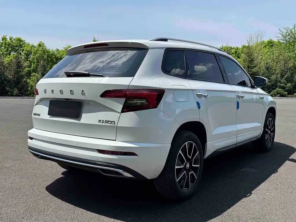 Skoda Karoq 2023 — фото 6