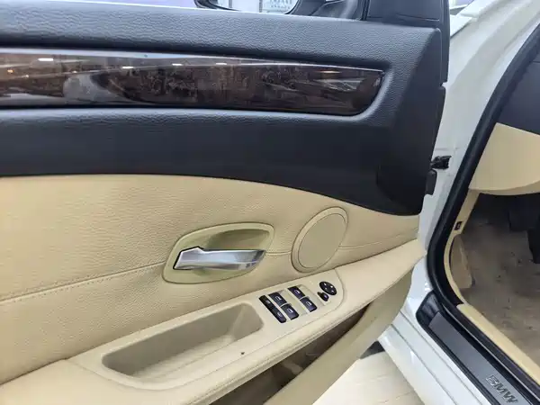 BMW 5 Series 2010