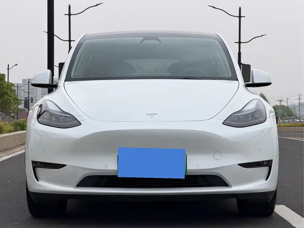 Tesla Model Y 2021 — фото 3