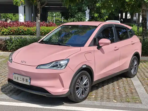 Neta V 2021