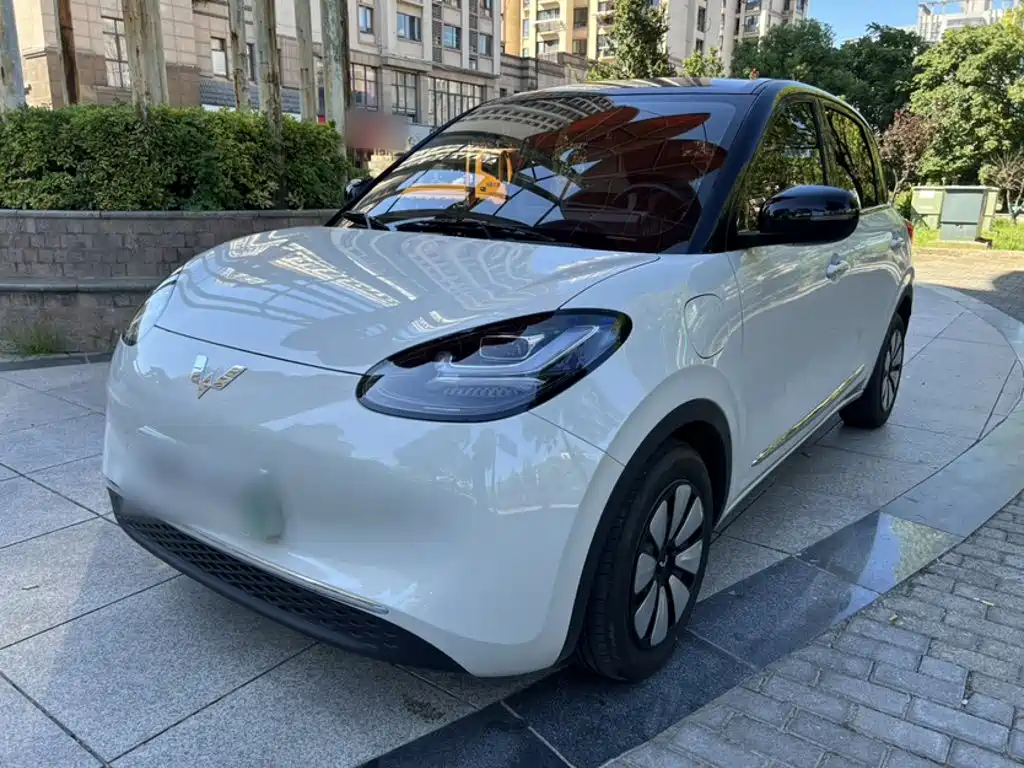 Wuling Bingo 2024