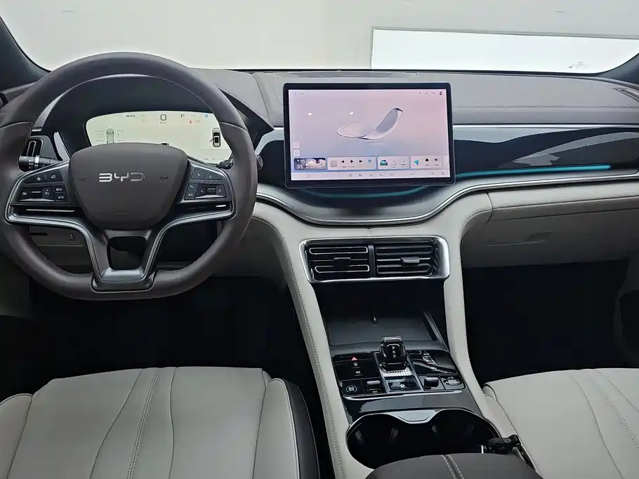 BYD Song PLUS New Energy 2025 — фото 12