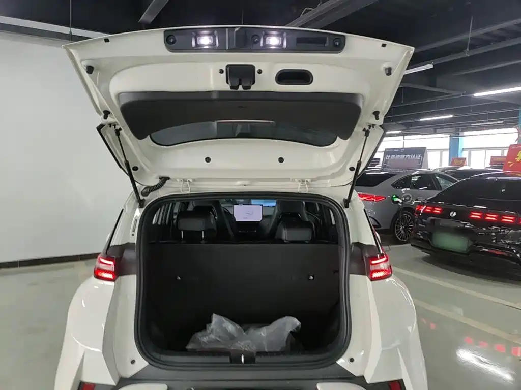 BYD Seagull 2025 — фото 19