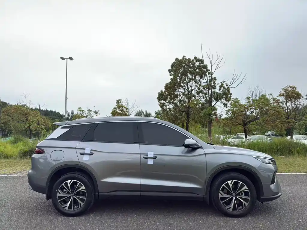 BYD Song Pro New Energy 2024 — фото 28