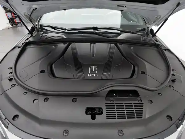 BYD Tang New Energy 2024