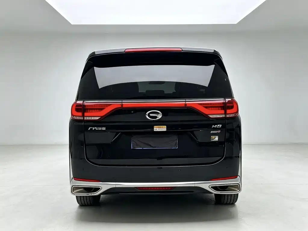 GAC Motor Trumpchi M8 2023 — фото 8