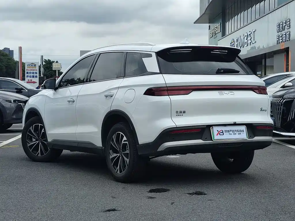 BYD Pro New Energy 2025 — фото 6