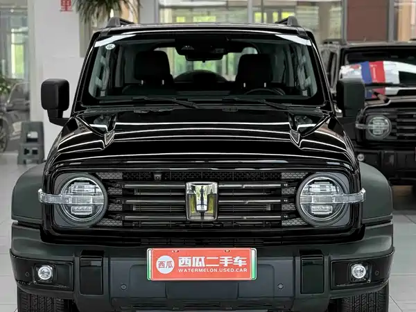 Tank 300 New Energy 2025