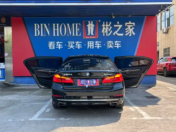 BMW 5 Series 2019