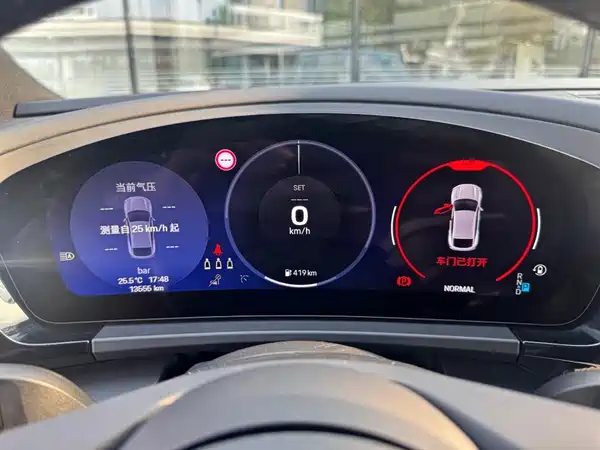 Porsche Macan New Energy 2024