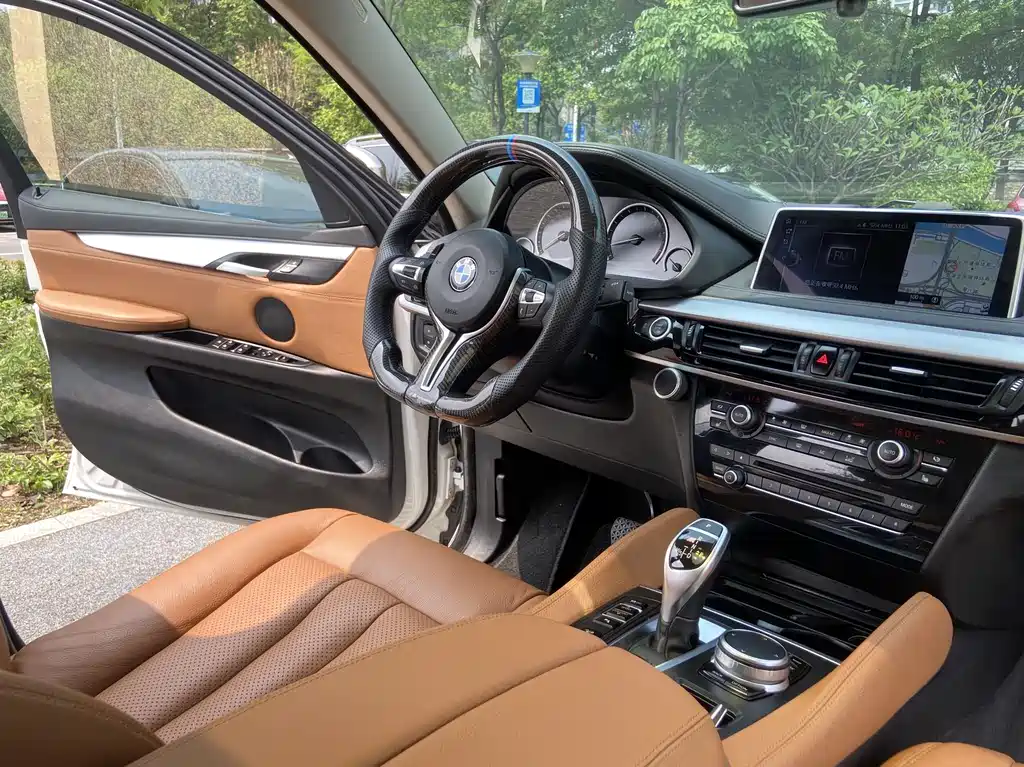 BMW X6 2017 — фото 11