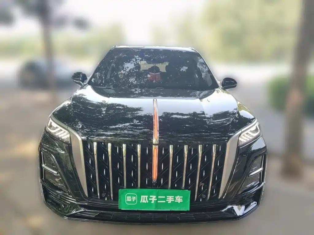 Hongqi HS5 2024 — фото 24