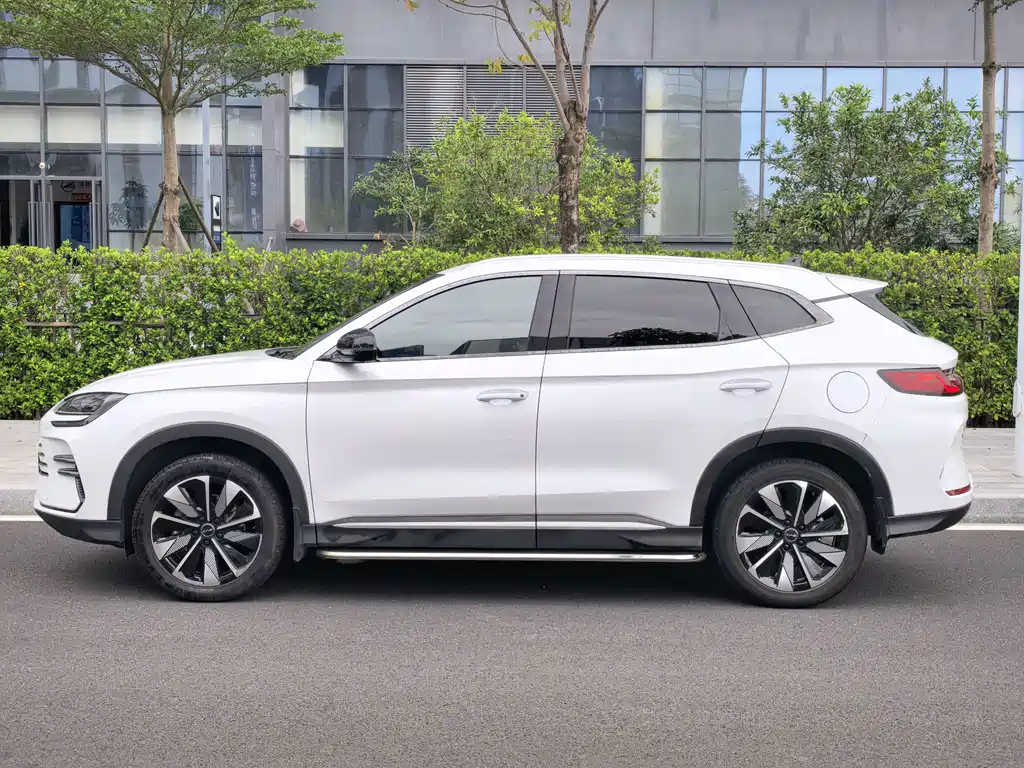 BYD Song PLUS New Energy 2024 — фото 8