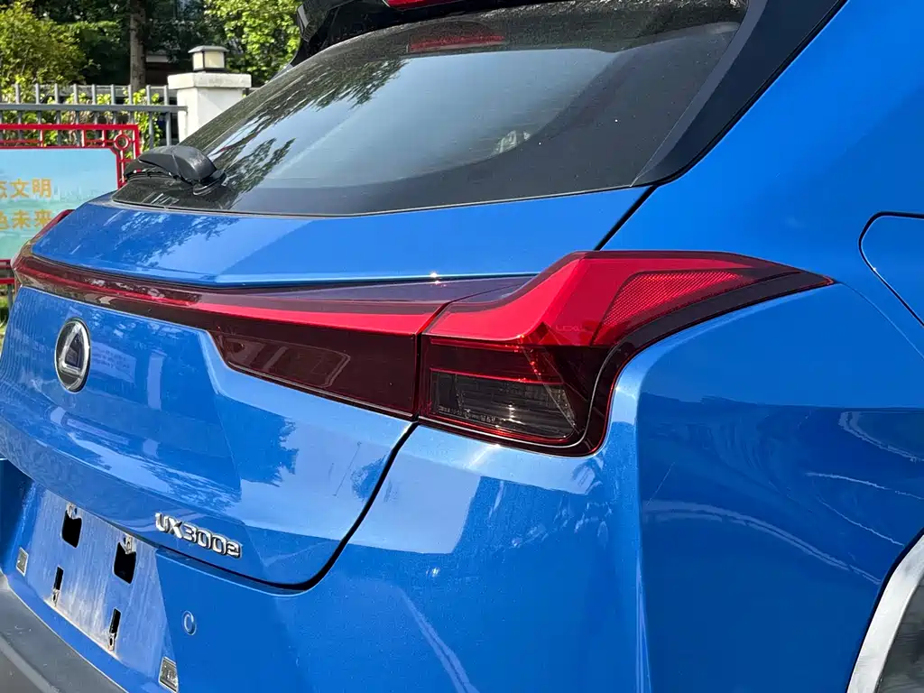Lexus UX New Energy 2020 — фото 15