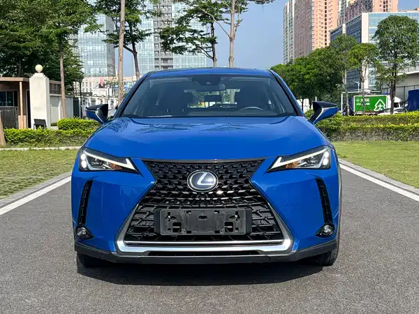 Lexus UX New Energy 2020