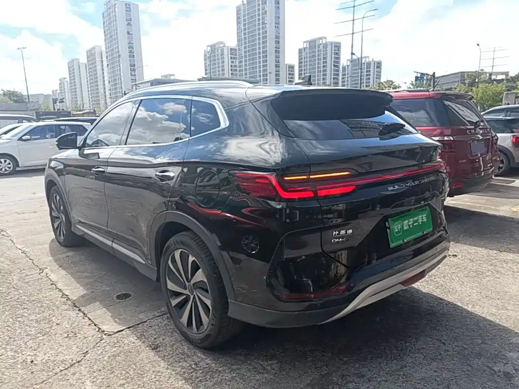 BYD Song PLUS New Energy 2024 — фото 5