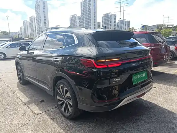 BYD Song PLUS New Energy 2024