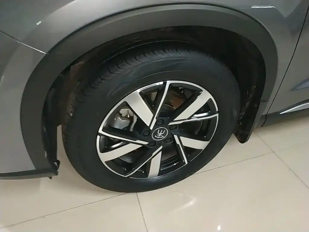 BYD Pro New Energy 2024 — фото 23