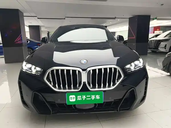 BMW X6 2025