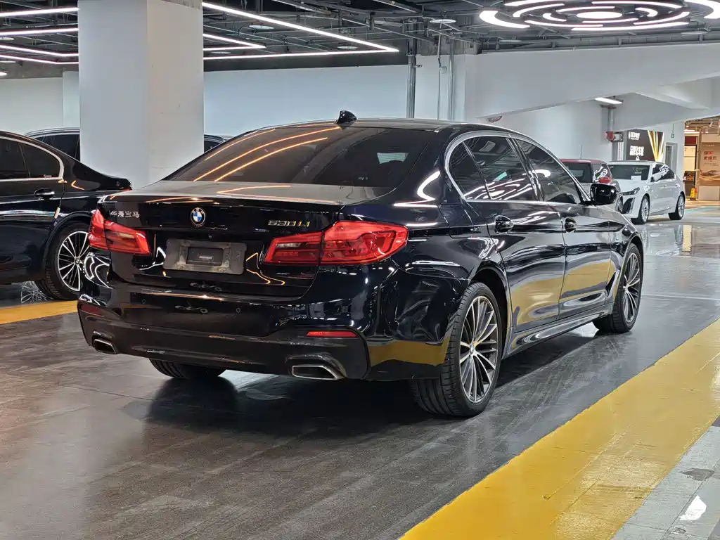BMW 5 Series 2019 — фото 17