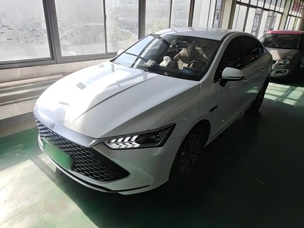 BYD Qin PLUS 2024 — фото 1