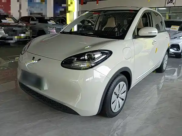 Wuling Bingo 2024