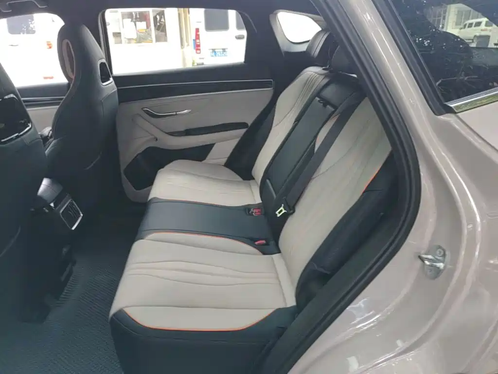 BYD Song PLUS New Energy 2024 — фото 17