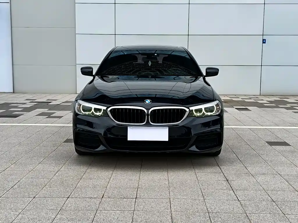 BMW 5 Series 2019