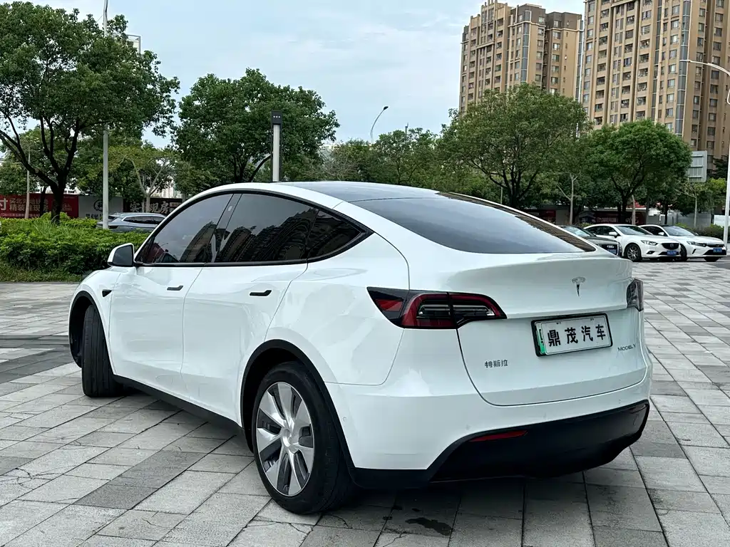 Tesla Model Y 2023 — фото 6
