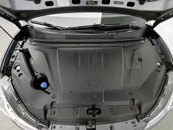 Neta V 2021