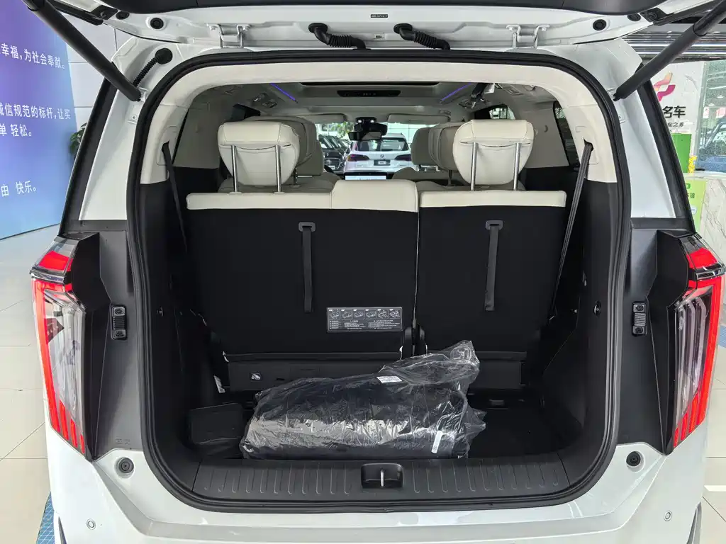 GAC Motor Trumpchi E9 2023 — фото 19