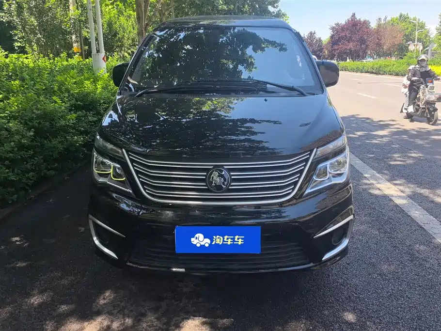 Fengxing Lingzhi 2022