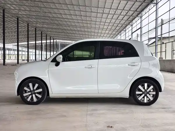 Ora Black Cat 2019