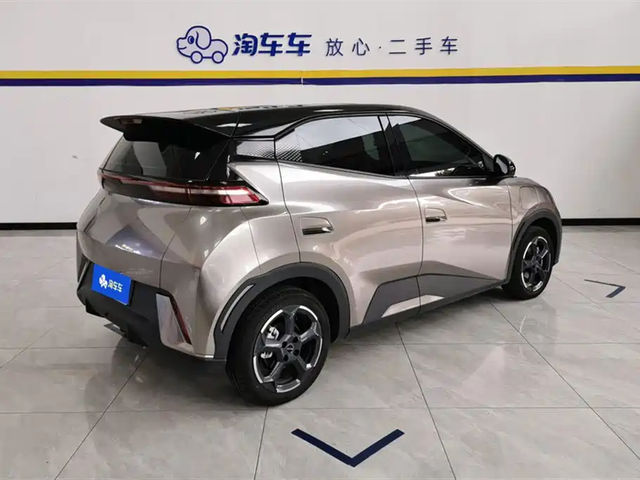 BYD Seagull 2024