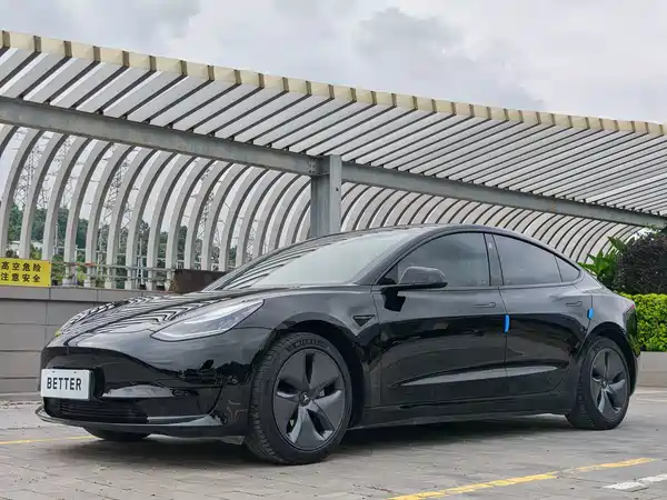 Tesla Model 3 2020