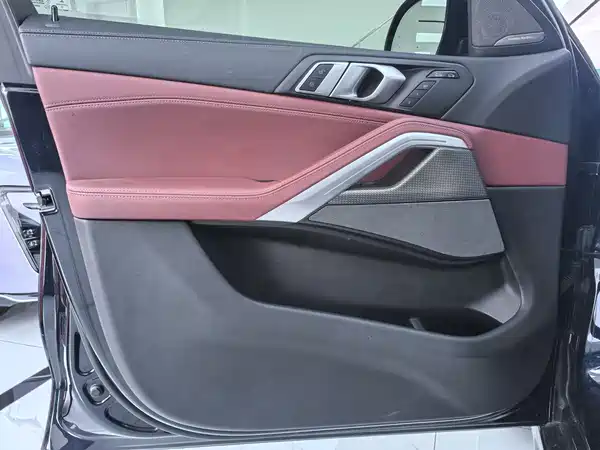 BMW X6 2021