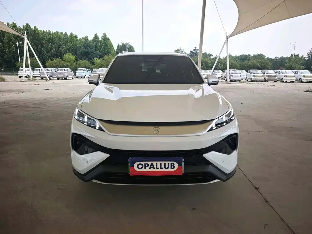 BYD Song Pro New Energy 2025 — фото 2
