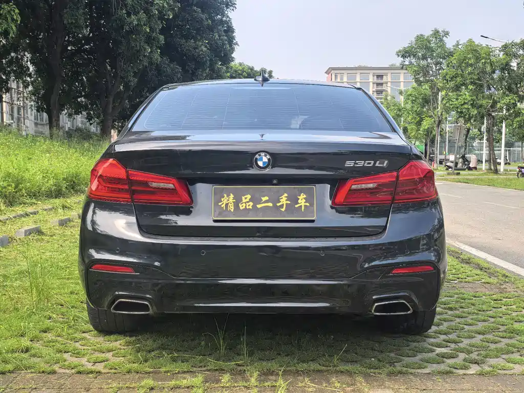 BMW 5 Series 2019