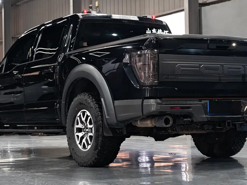 Ford F-150 Raptor 2023 — фото 9