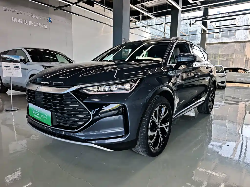 BYD Tang New Energy 2024 — фото 1